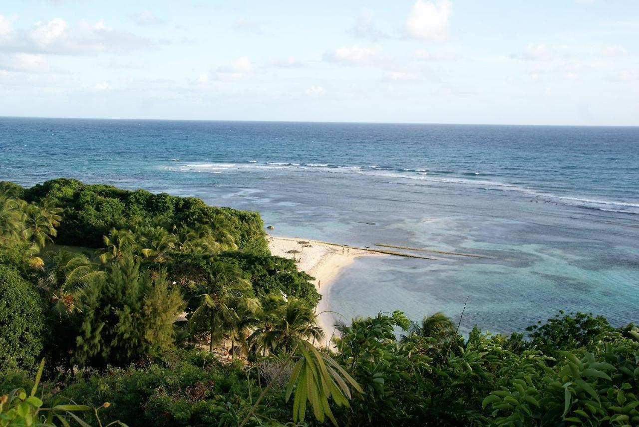 Studio Bleu Coco Saint-Francois  Luaran gambar